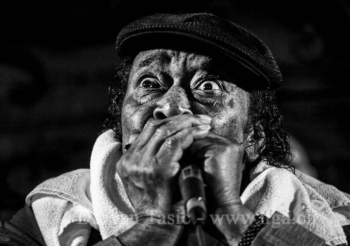 James Cotton 3bw