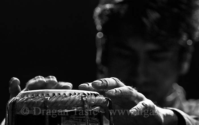 Talvin Singh45