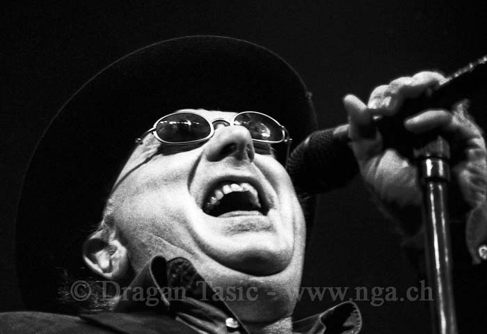 Van Morrison