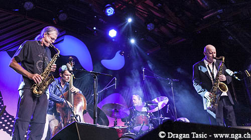 Donat-Fisch-Quartet004.